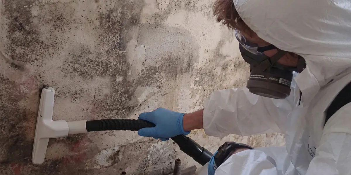 professional mold removal technician wearing protective equipment removing mold from a wall in Pasadena, CA